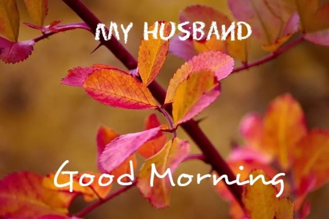 Images good morning hubby.jpg