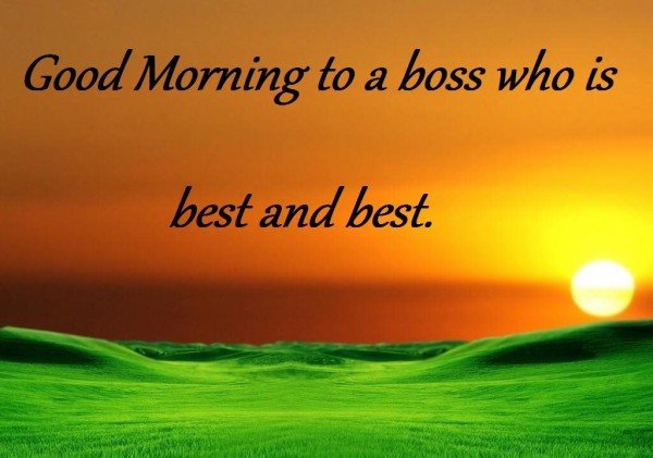 Good Morning Boss 16
