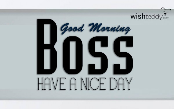 Good Morning Boss 22