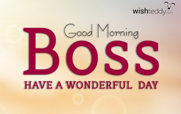 Good Morning Boss 25