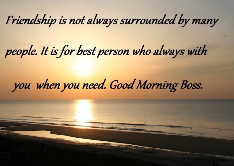 110+ Professional Good Morning Wishes And Images For Boss Good Morning Wishes