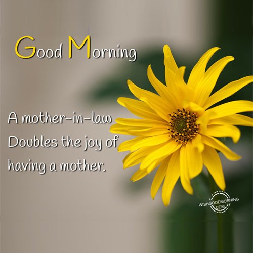 Good Morning Mother In Law 3