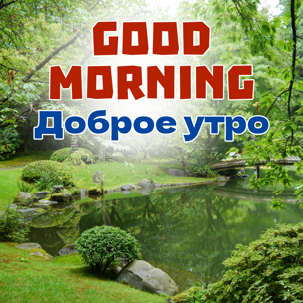 Good Morning Wishes and Images In Russian (Доброе утро)