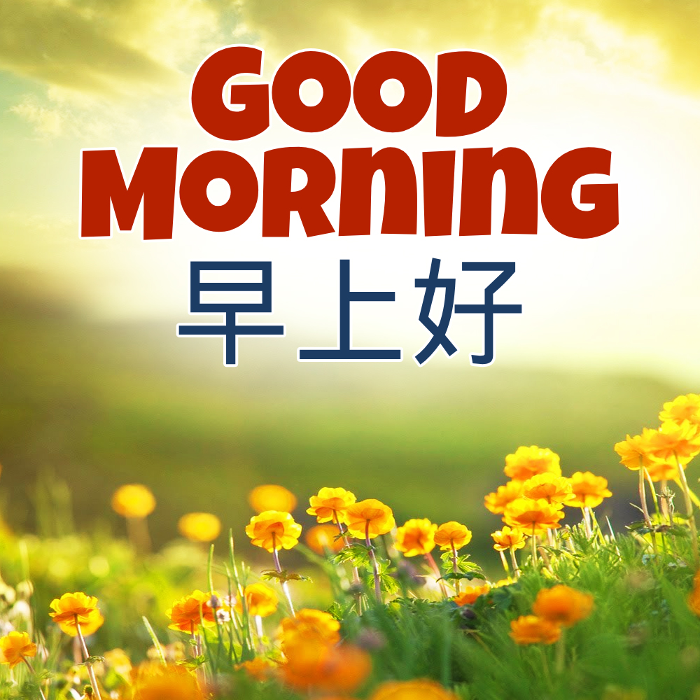 Good Morning In Chinese (早上好) – Wishes, Images & Status