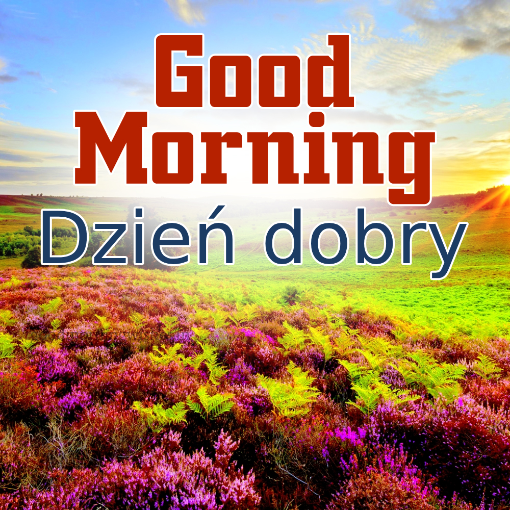 Good Morning In Polish Wishes And Images