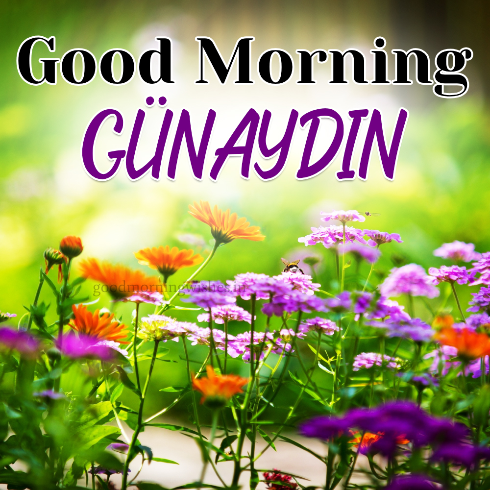 Good Morning In Turkish (günaydın) – Wishes, Images and Status