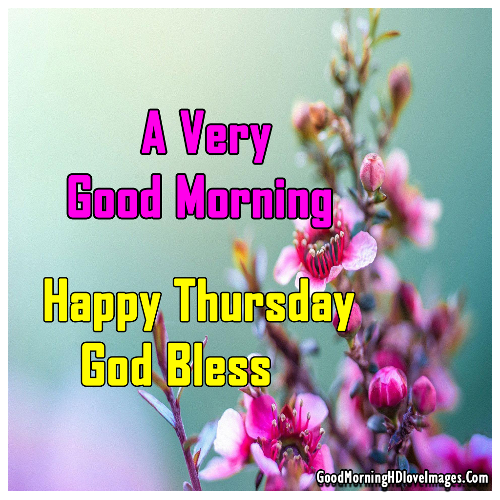 190+ Good Morning And Happy Thursday Wishes - Good Morning Wishes