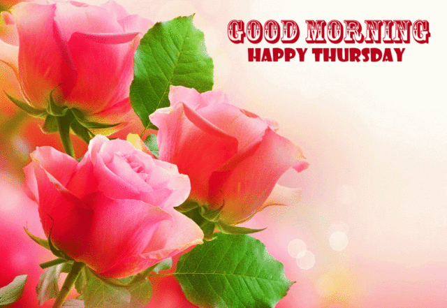 Beautiful Flowers Good Morning Happy Thursday Image 1024x705