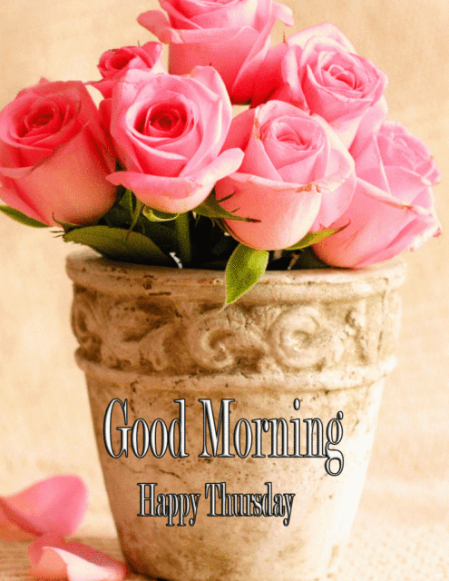 Flowers Bucket With Good Morning Happy Thursday Wish 792x1024
