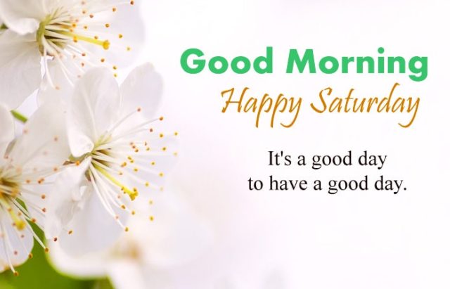 God Bless Your Saturday Good Morning1