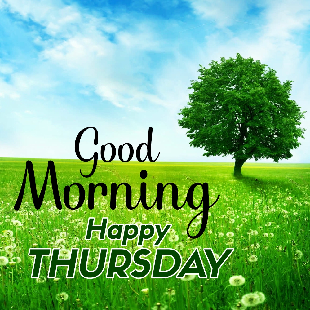 Good Morning And Happy Thursday Wishes