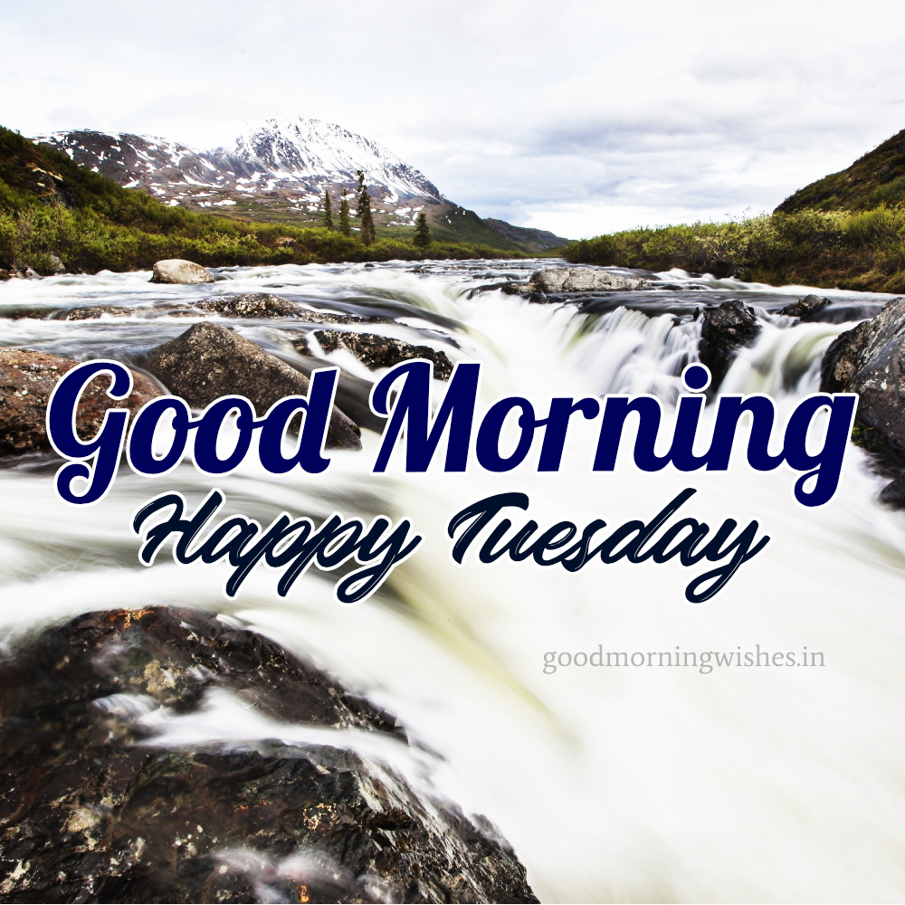 Good Morning and Happy Tuesday Wishes and Images