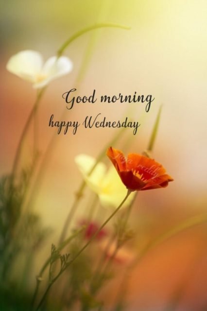 Good Morning Happy Wednesday4