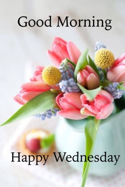 Good Morning Happy Wednesday7