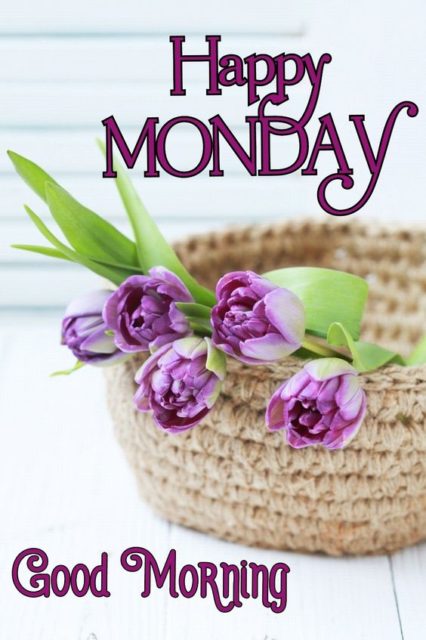 Good Morning Have A Lovely Day Happy Monday3