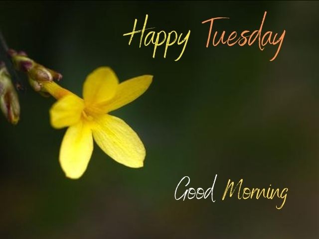 Good Morning Tuesday Images 16