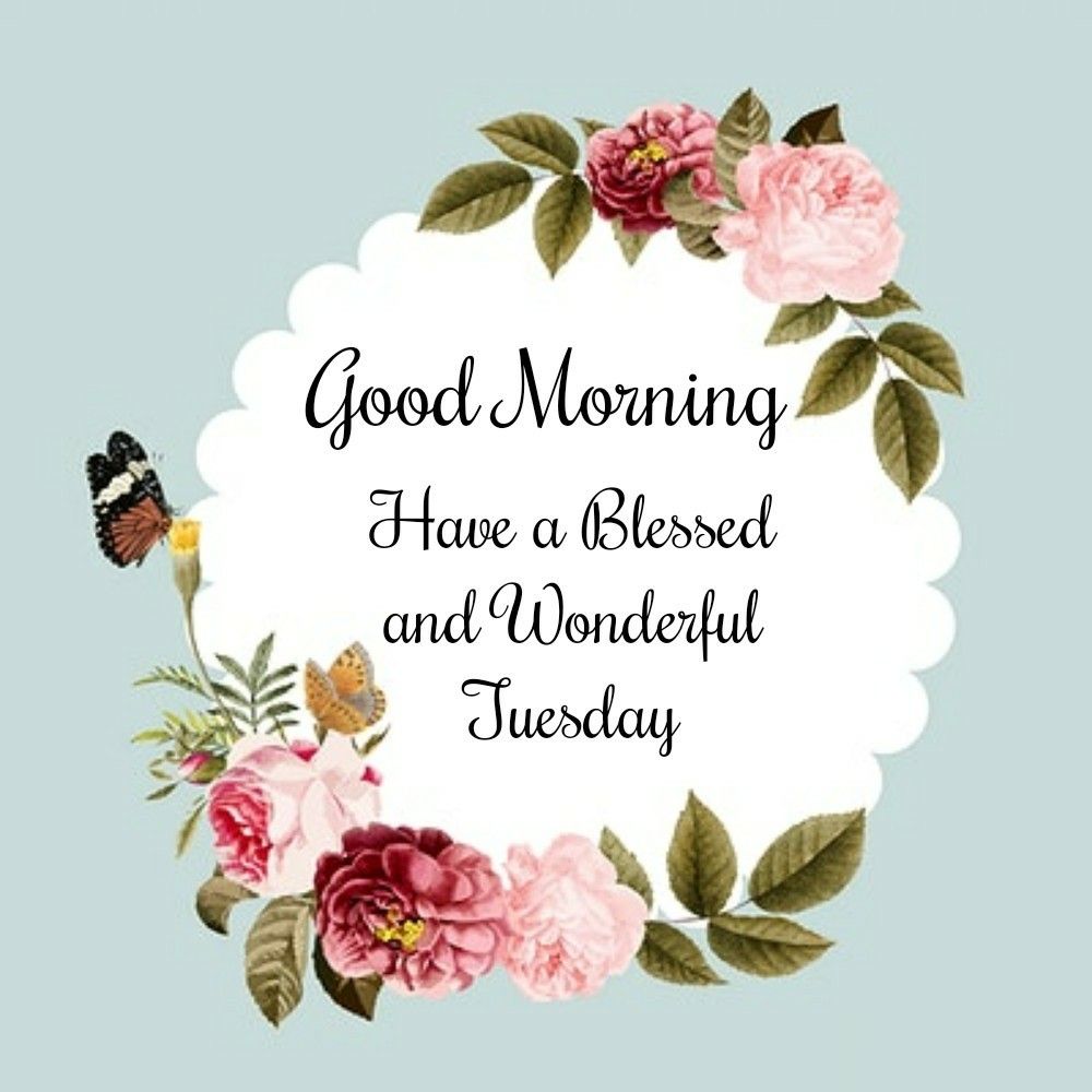 Good Morning Tuesday Wishes 1