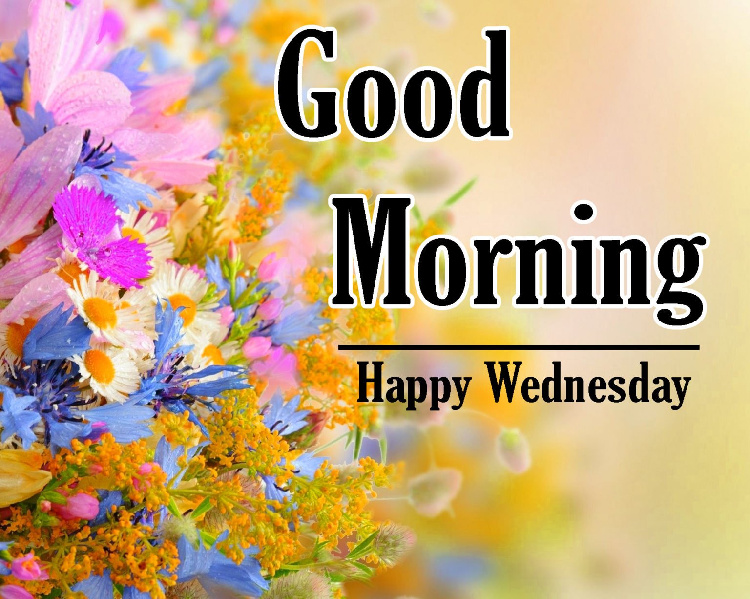 190+ Good Morning And Happy Wednesday Messages Good Morning Wishes