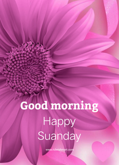 Happy Blessed Sunday Morning6