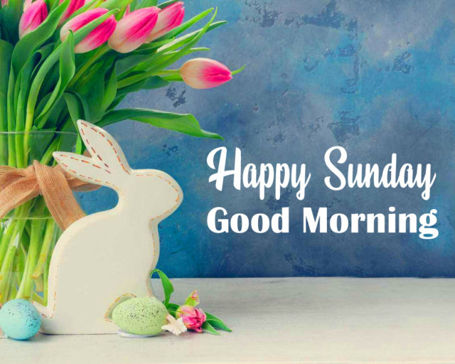 Happy Sunday Good Morning Wish With Flowers