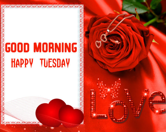 Love Good Morning Happy Tuesday Red Rose Image