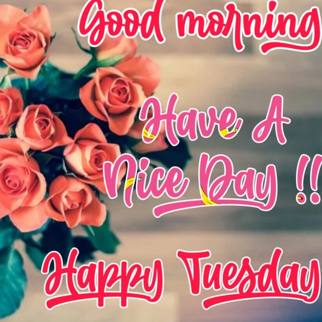 Good Morning Tuesday Images Free Download With Beautiful Rose
