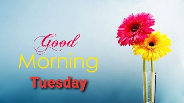 Happy Tuesday Good Morning 4