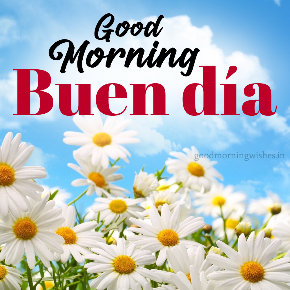 Good Morning Wishes In Spanish – Buenos Días With Images