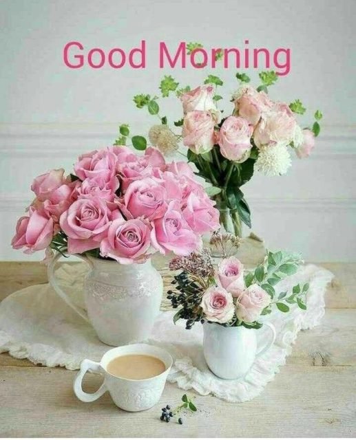 Pink Rose Good Morning2