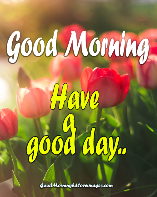 Pleasing Good Morning Images With Flowers Have A Good Day