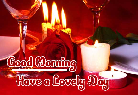 Red Rose Good Morning Images Hd Download 29