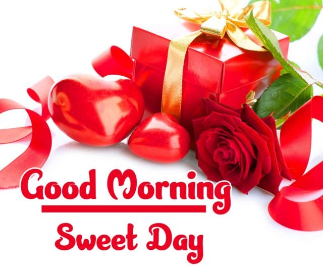 Red Rose Good Morning Images Hd Download 33