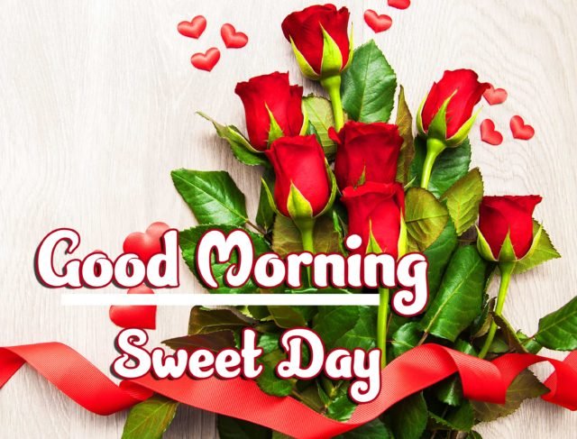 Red Rose Good Morning Images Hd Download 34