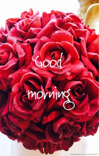 Rose Floating Hearts Good Morning3
