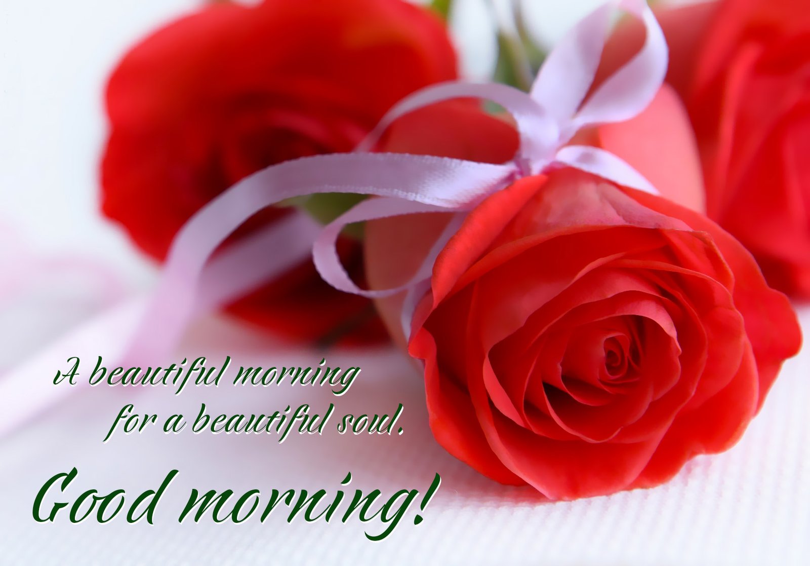 good-morning-my-love-rose-greetings3.jpg