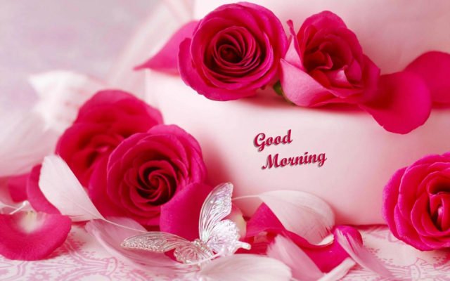 Good Morning With Rose3