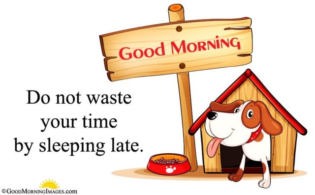 Animated Full Hd Dog Wallpaper With Gud Morning Message
