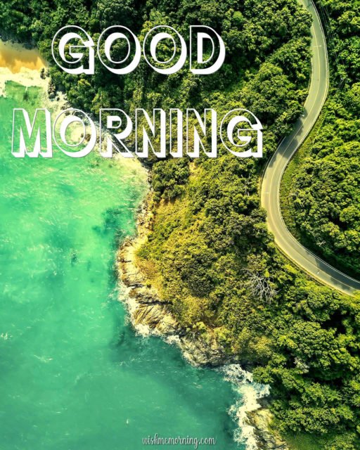 Beautiful Trees Woods Nature Images Wishes Wishmemorning.com 22