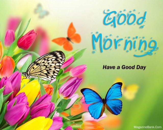 Best Good Morning Wishes With Flowers And Butterflies