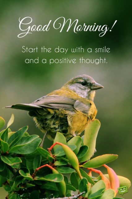 Cute Good Morning Quote On Picture With Bird In Nature