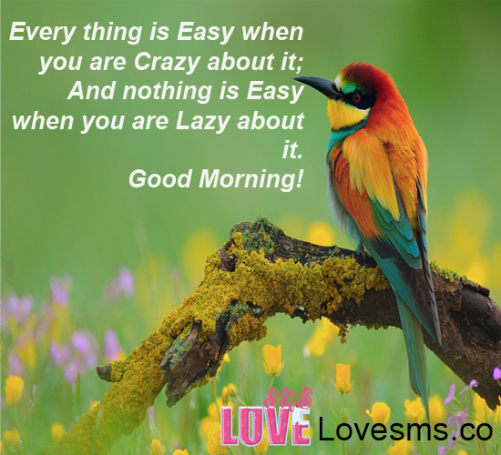 Everything Is Easy Good Morning Wg16102