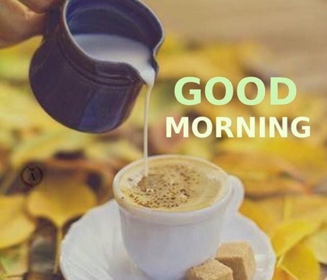 Free Tea Coffee Good Morning Pics Pictures