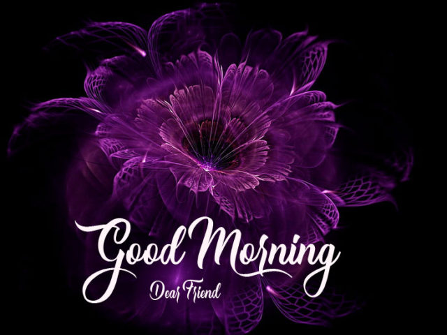Free Good Morning Have A Nice Day Wallpaper