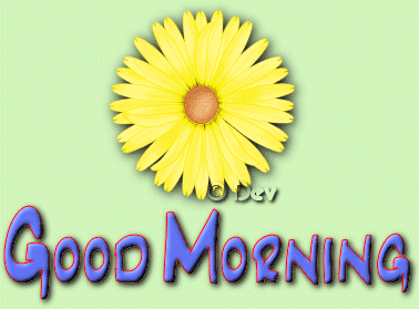 Good Morning Animated Flower Wg0180198