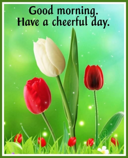 Good Morning Cheerful Day