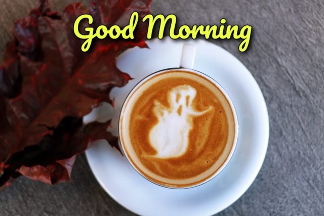 Good Morning Coffee Funny