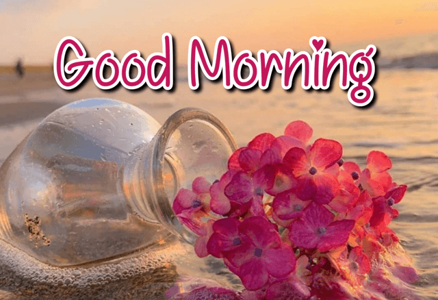 Good Morning Flowers Greeting Beautiful Good Morning Wishes 2022 Sub Kuch Web