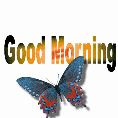 Good Morning Glittering Butterfly Wg0180355