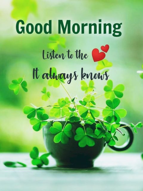 Good Morning Green Wishes Photo