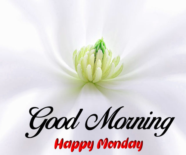 Good Morning Happy Monday Images Hd
